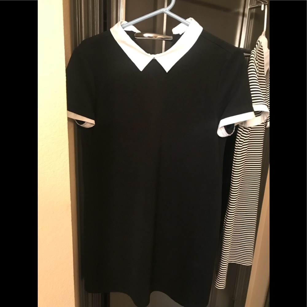 Zara collared dress